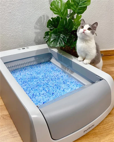 Tofu Cat Litter Free Kampjun Pet Tindif Provvisti Bejgħ bl-ingrossa Silica Gel Cat Litter